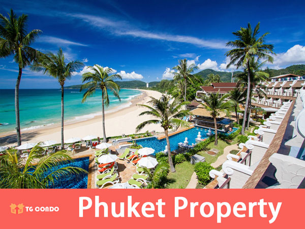 Phuket Property Phuket Real Estate