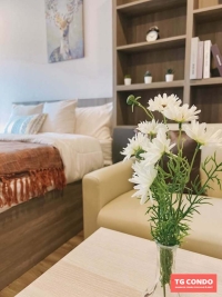SUN CITY Condomonium For Rent