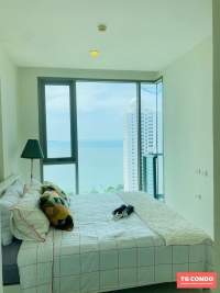 The Riviera Wongamat Pattaya Condominium For Sale