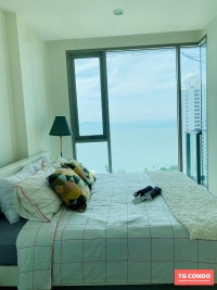 The Riviera Wongamat Pattaya Condominium For Sale